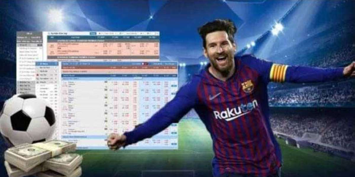 Share experience to accurately analyze football betting odds to help bettors win big