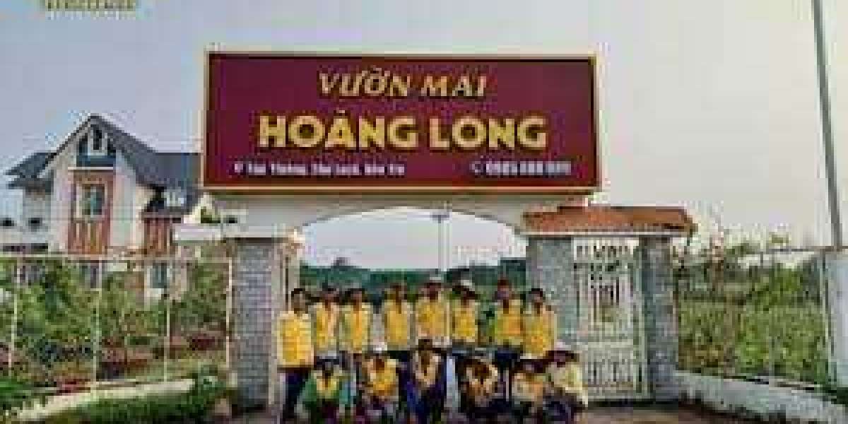 những loại MAI VÀNG đẹp nhất Ở VIỆT NAM hiện tại