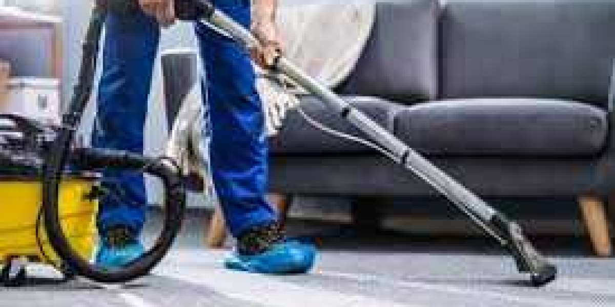 Why Carpet Cleaning Services is a Must for Longevity