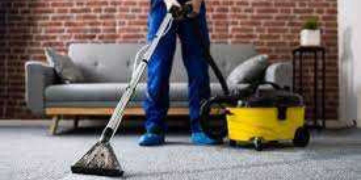 Reliable Carpet Cleaning Services: Keeping Your Home Fresh