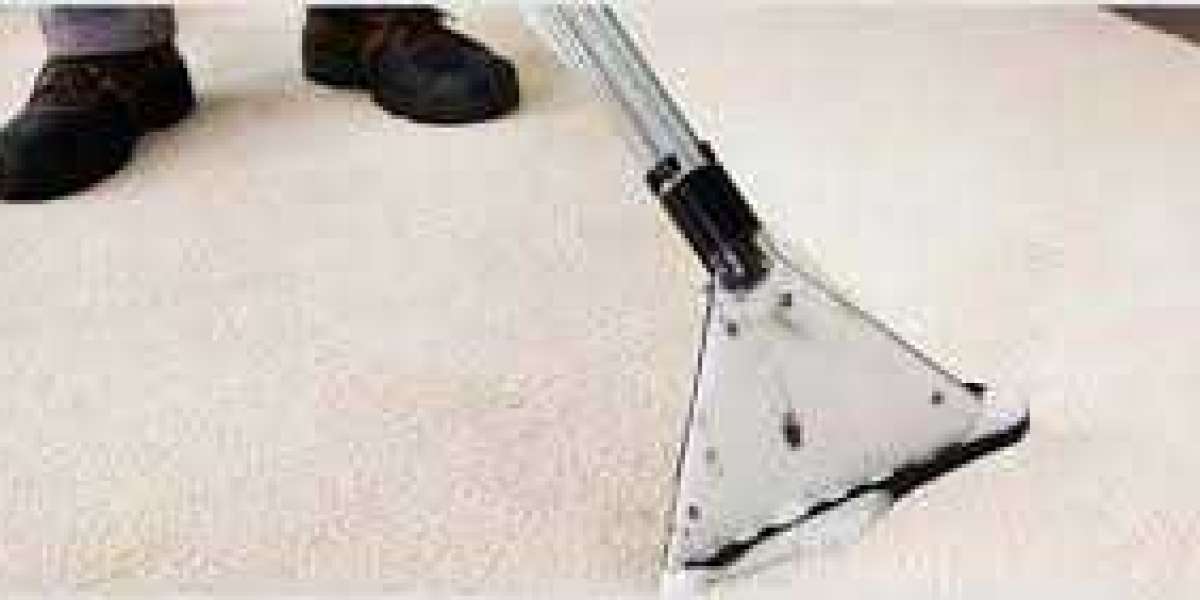 Elevate Your Home’s Comfort with Regular Carpet Cleaning