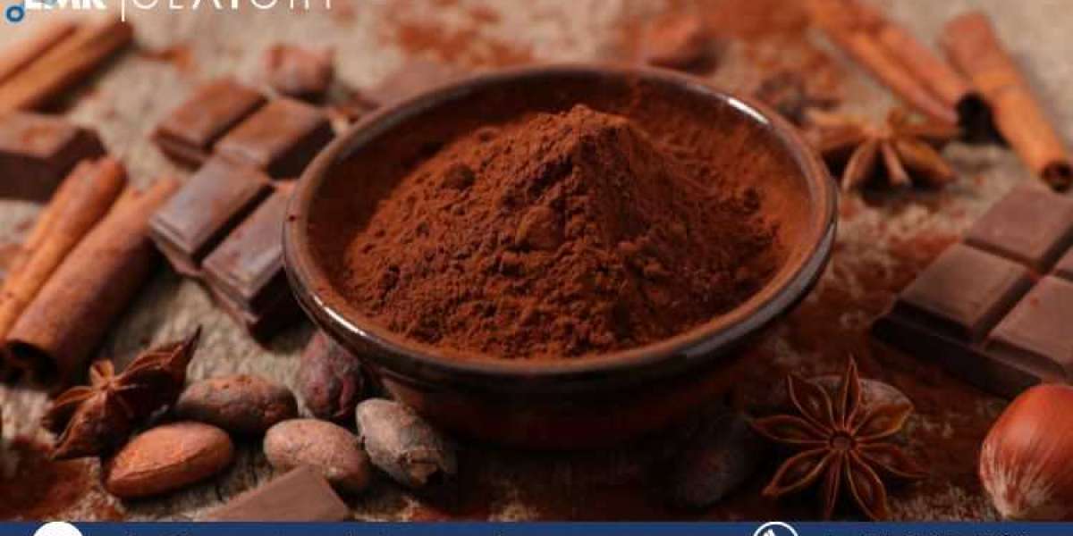 Cocoa and Chocolate Market 2025-2033: Trends, Growth Drivers, and Market Insights