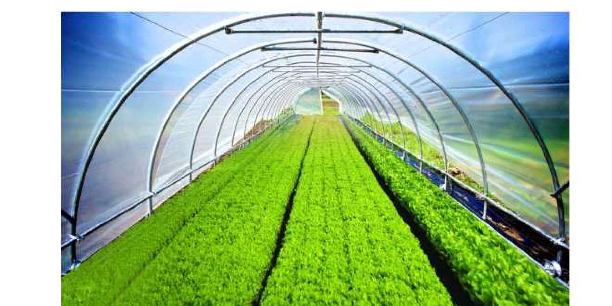 Greenhouse Film: Revolutionizing Modern Agriculture for Sustainable Growth