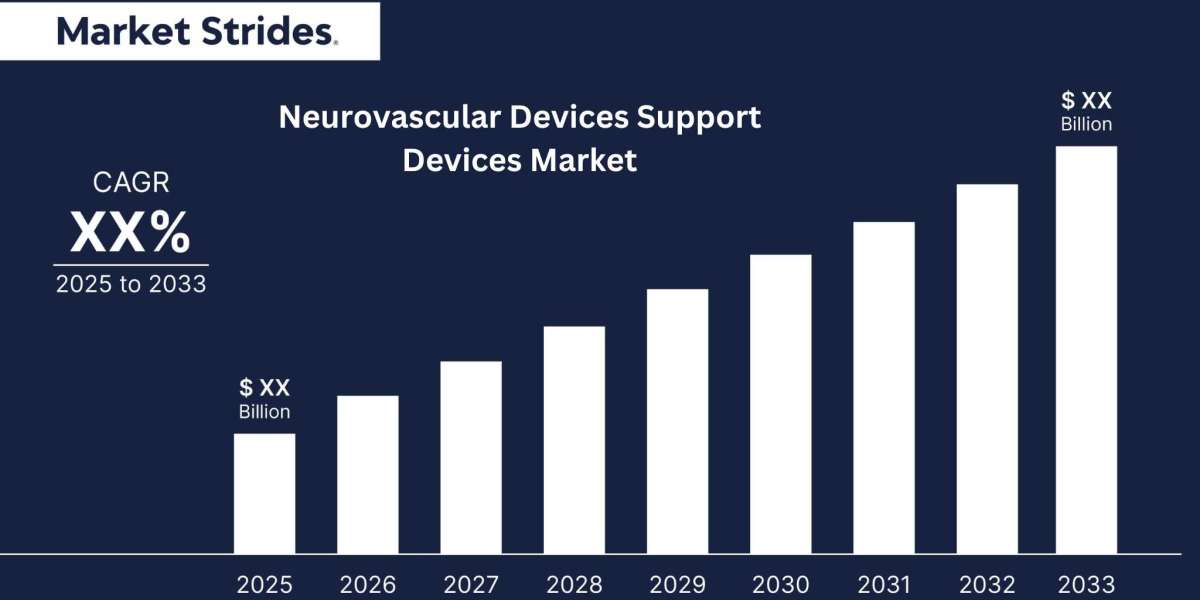 Neurovascular Devices Support Devices Market Insights 2025-2033: Emerging Threats and Growth Opportunities