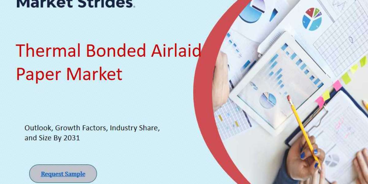 Thermal Bonded Airlaid Paper Market Growth and Opportunities, 2025-2033