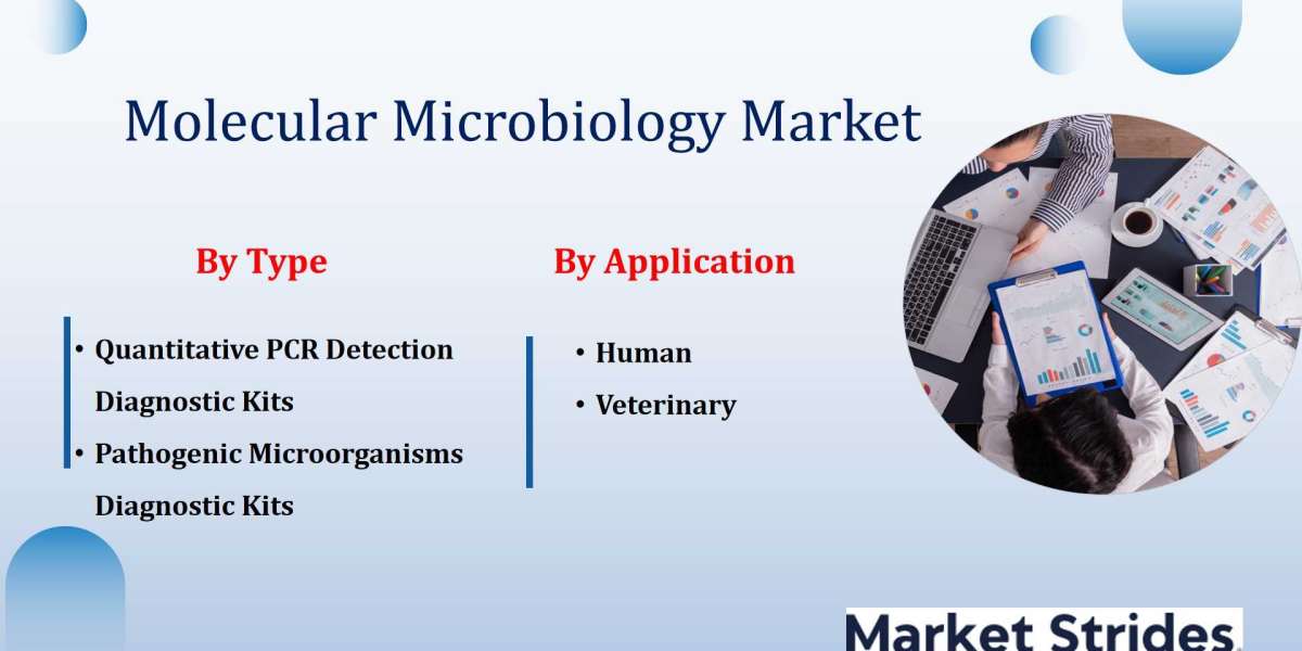 Molecular Microbiology Market 2025-2033: What Are the Emerging Growth Trends?