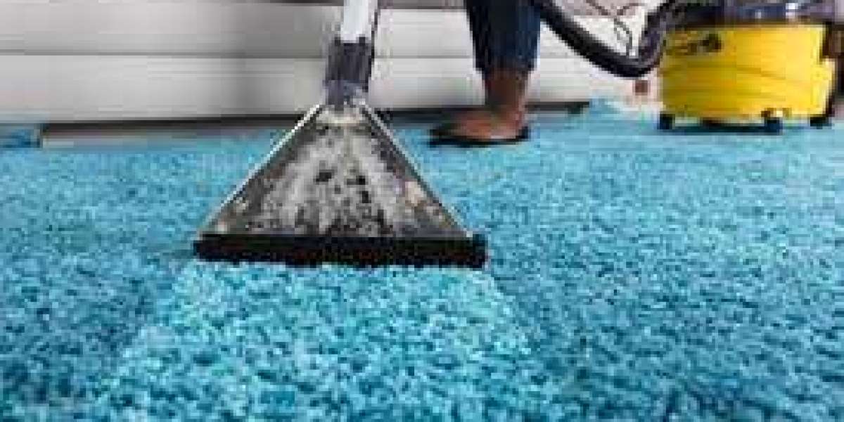 ﻿﻿Enhancing Home Wellness and Comfort with Expert Carpet Cleaning