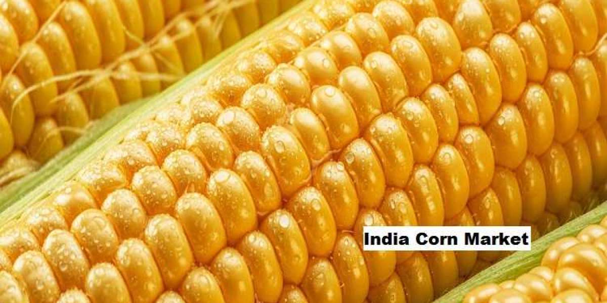 India Corn Market Set to Rise Due to Feed and Ethanol Fuel Demand (2026-2030)