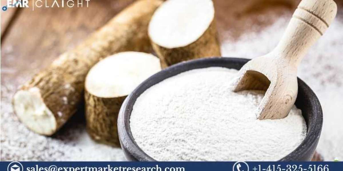 Cassava Processing Market Outlook, Size, Trends, Growth (2025-2034)