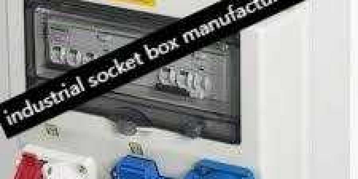 Beyond Connectivity: Industrial Socket Box Manufacturers Shaping Sustainable Industrial Futures