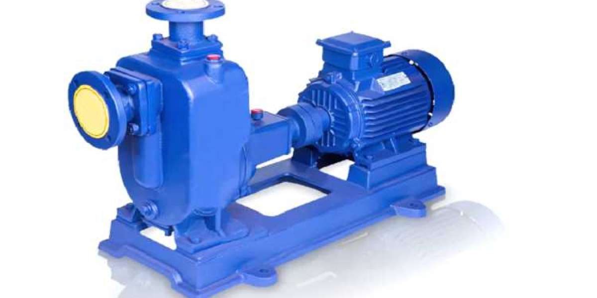 Self-Priming Centrifugal Pump Market: Efficiency Gains Fueling Industry Demand