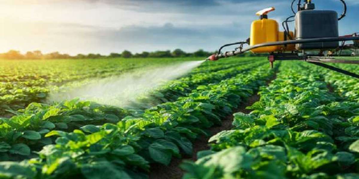 Egypt Liquid Fertilizer Market Driven by Demand for Higher Crop Yields