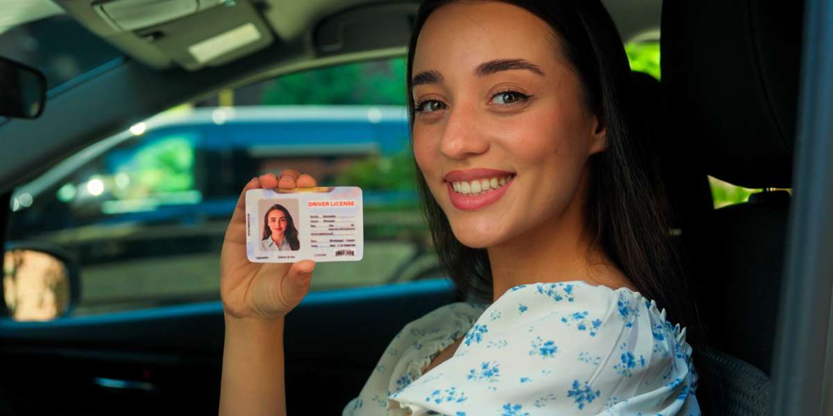 Where Will Online Drivers Licence Be One Year From In The Near Future?