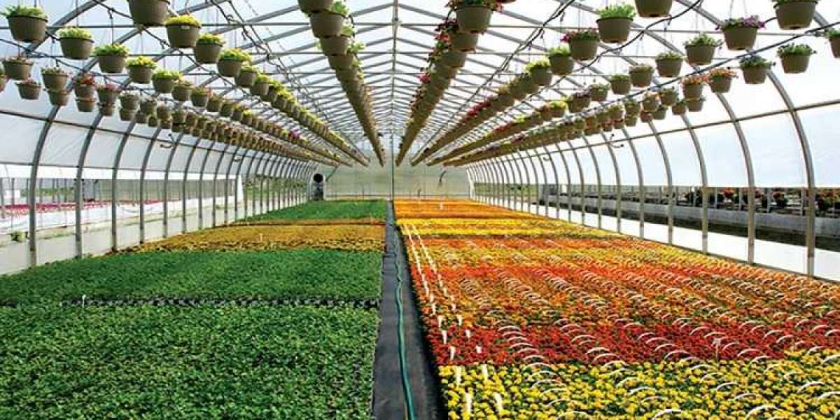 Egypt Greenhouse Market Driven by Demand for Export-Oriented Crops