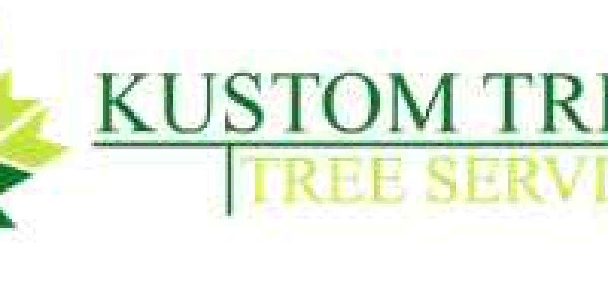 Why Kustom Trim Tree Services Is Your Go-To Tree Service in Akron, OH