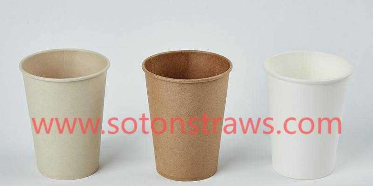 Paper Cups and the Future of Eco Dining