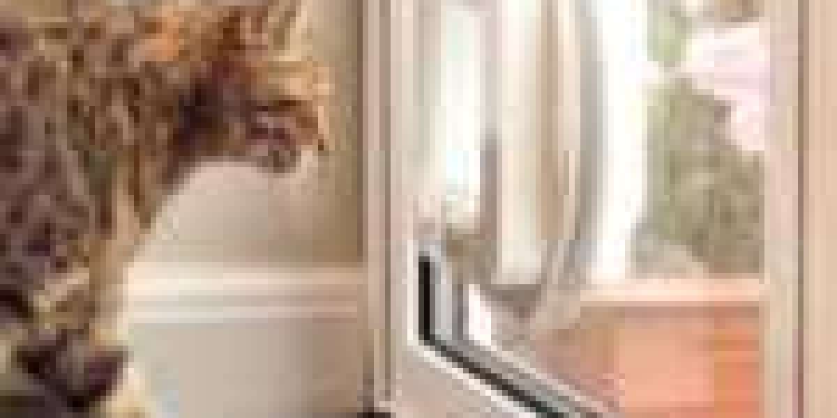 10 Cat Flap Fitting That Are Unexpected