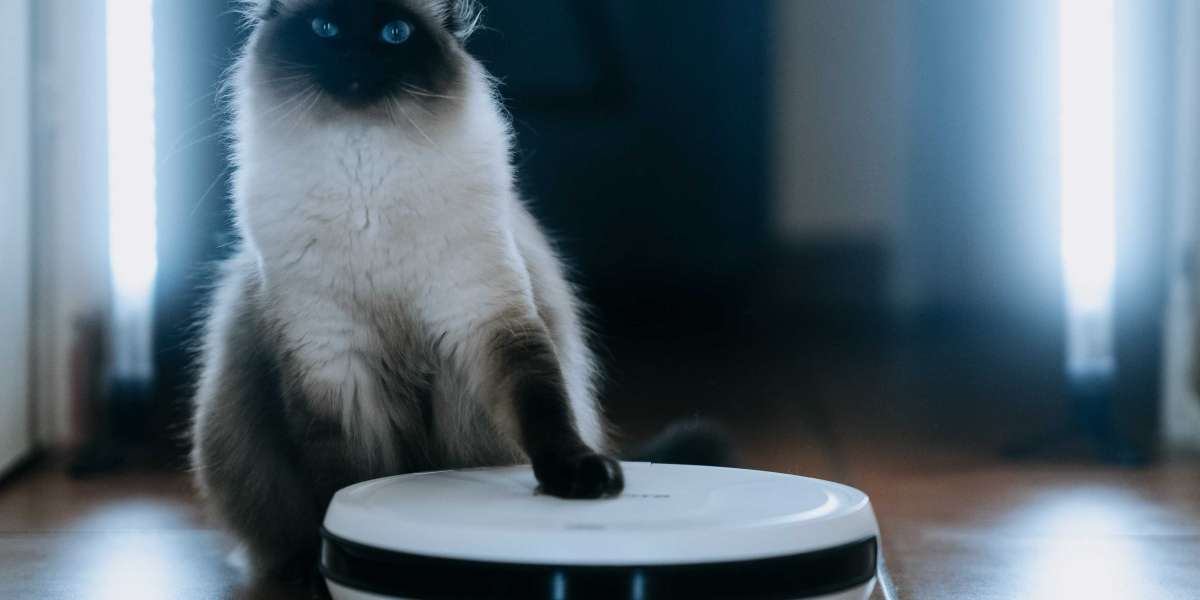 Three Greatest Moments In Cheap Robot Vacuum Cleaner History