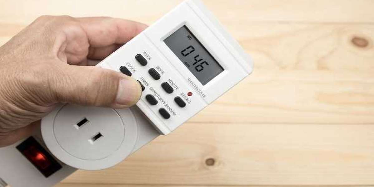 Electric Timer Switches Market Sees Growth from Smart Home Adoption