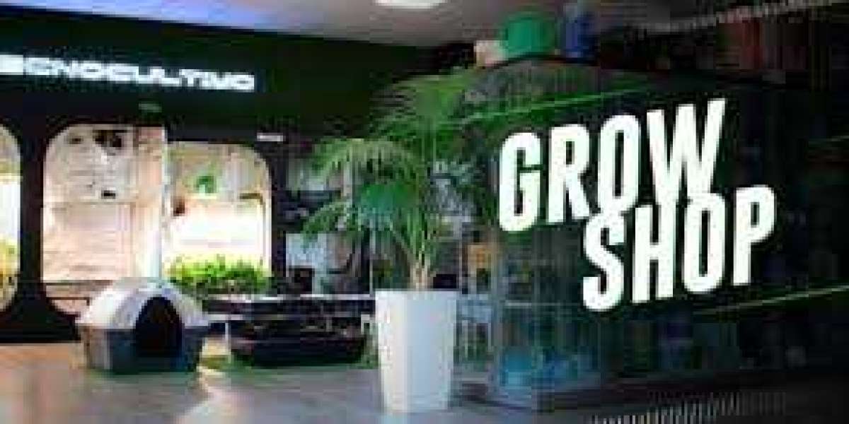 Growshop Must-Haves: Pick the Right Grow Tent!