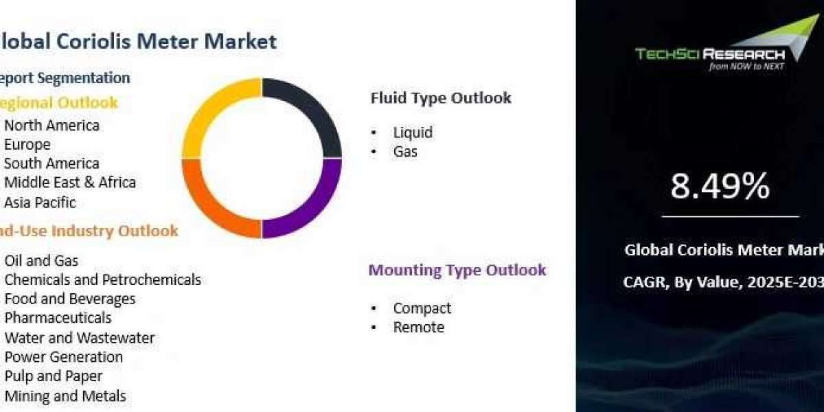 Coriolis Meter Market Grows with Demand for Accurate Flow Measurement