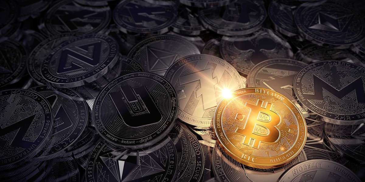Article Picture
